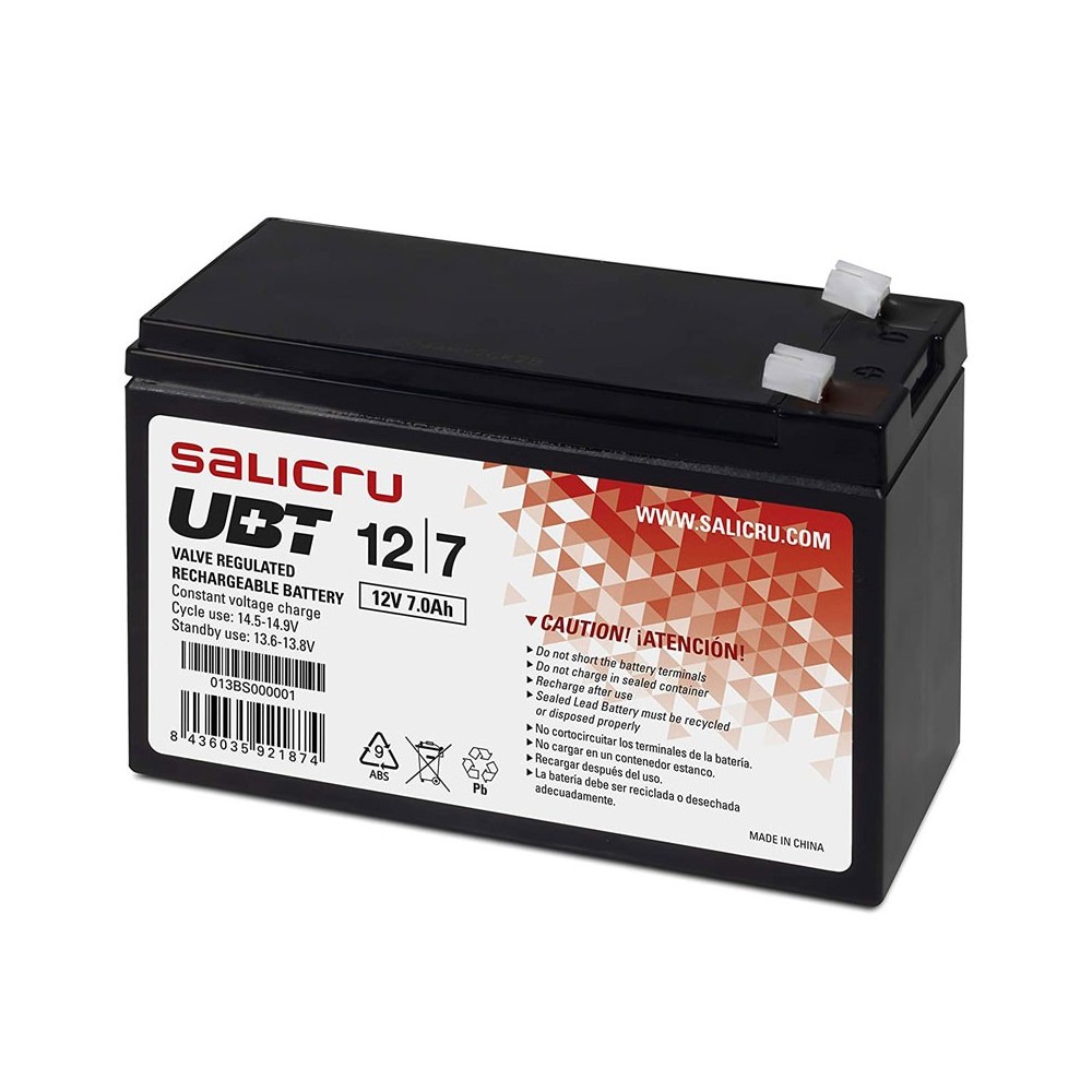 Salicru UBT 124,5