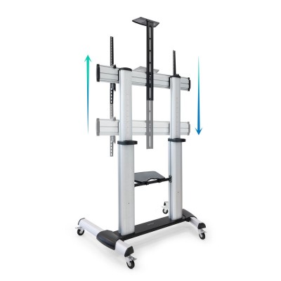 TooQ Partenón 2,54 m (100") Plata