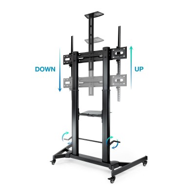 TooQ ZEUS 2,54 m (100") Negro